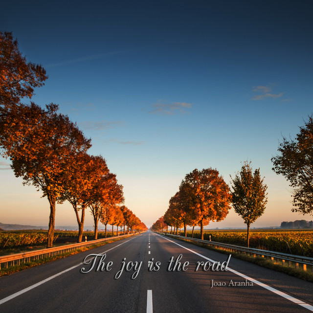 The joy is the road