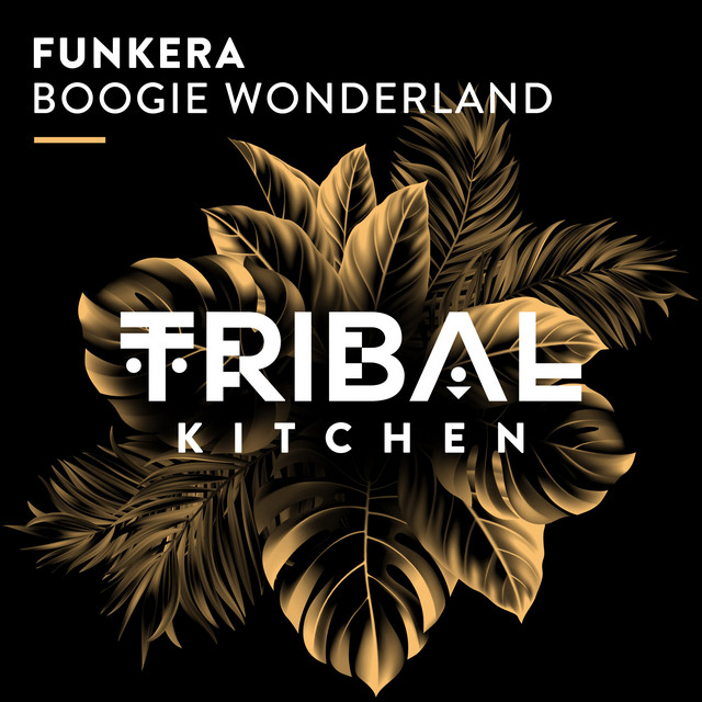 Boogie Wonderland - Extended Mix album art