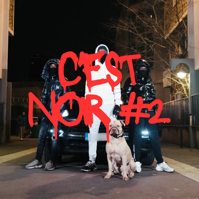 C'est noir #2 cover art