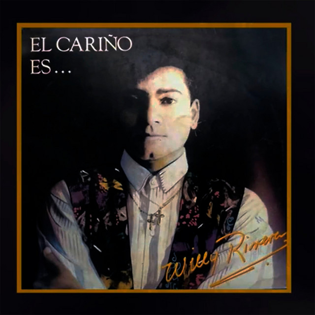 EL CARIÑO ES... cover art