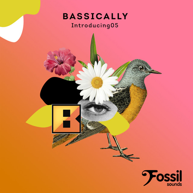 Introducing 05 cover art