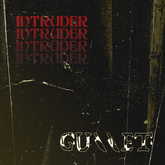 Intruder cover
