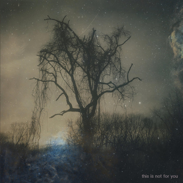 This Is Not for You (Outtakes and B-Sides) cover art