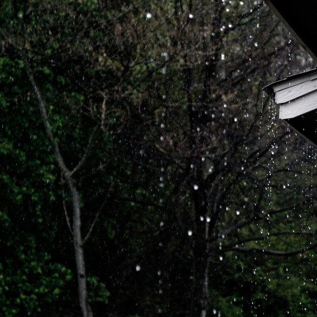 Serene Rain Sounds (Loopable) cover art