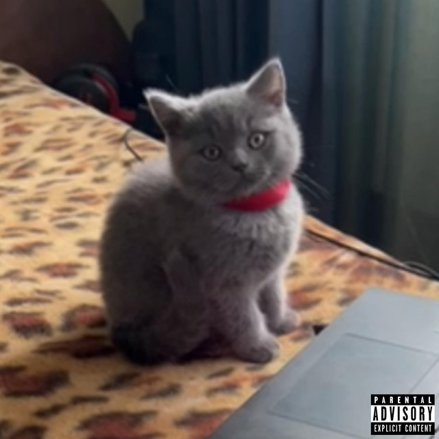 ㅤ² cover art