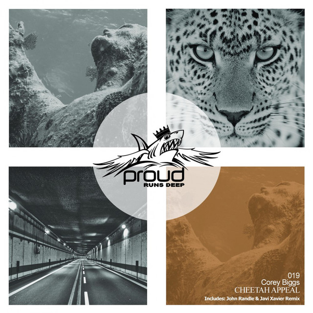 Cheetah Appeal - Javi Xavier Remix cover art