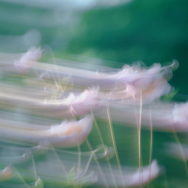 Soft Touch artwork