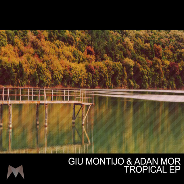 Tropical Night - Original Mix cover art