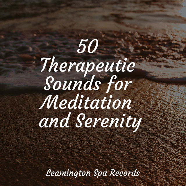 50 Therapeutic Sounds for Meditation and Serenity - Album by Sleep ...