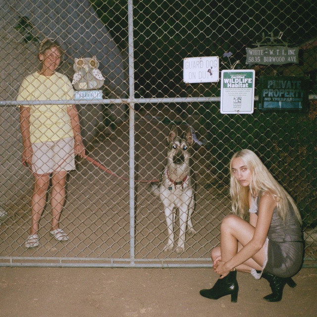 Everything cover art