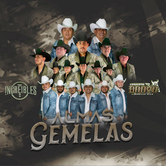 Almas Gemelas