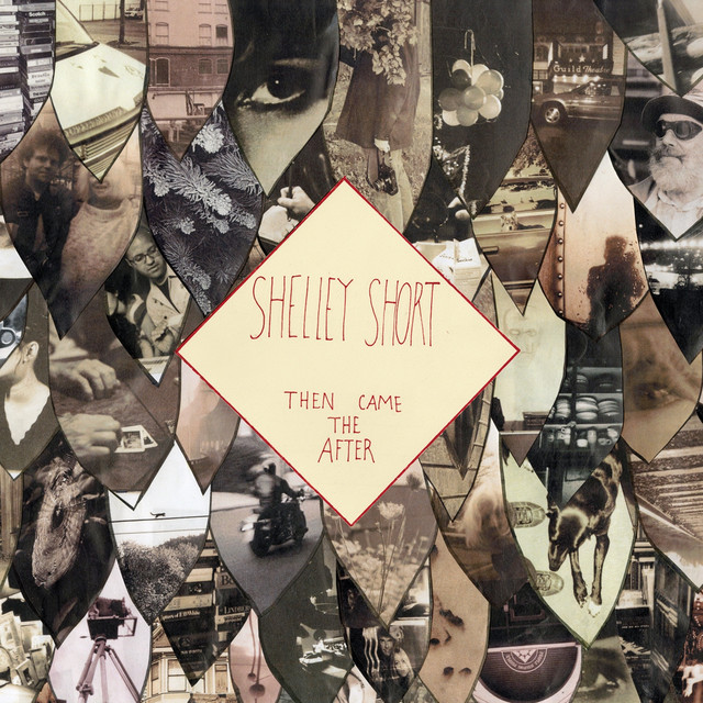Then Came the After cover art