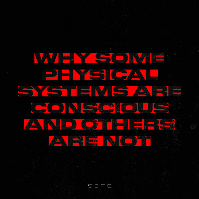 Why Some Physical Systems Are Conscious And Others Are Not cover art