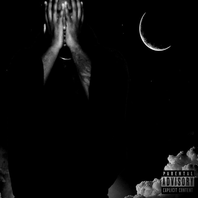 Hikikomori cover art