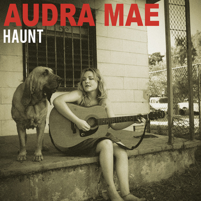 Haunt cover art