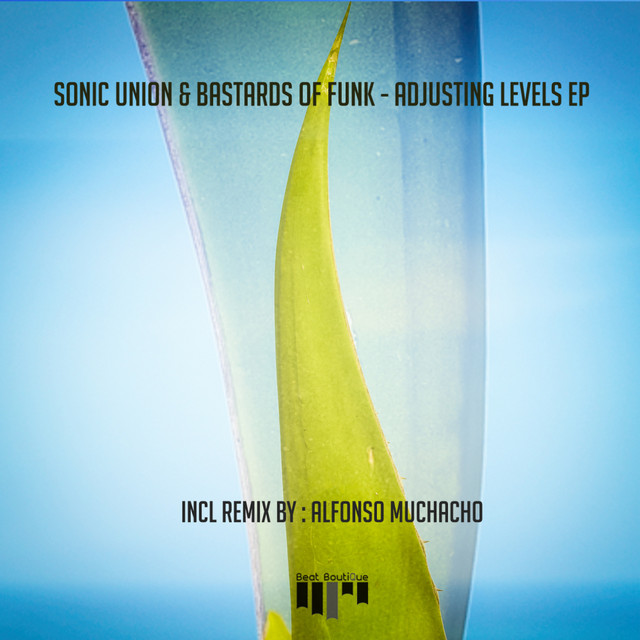 Adjusting Levels album art