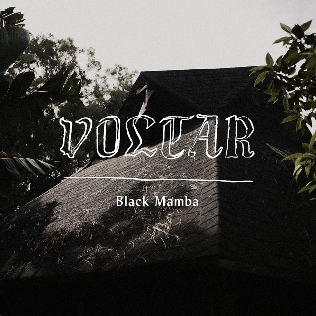 Black Mamba cover art