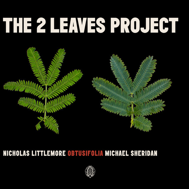 Michael Sheridan