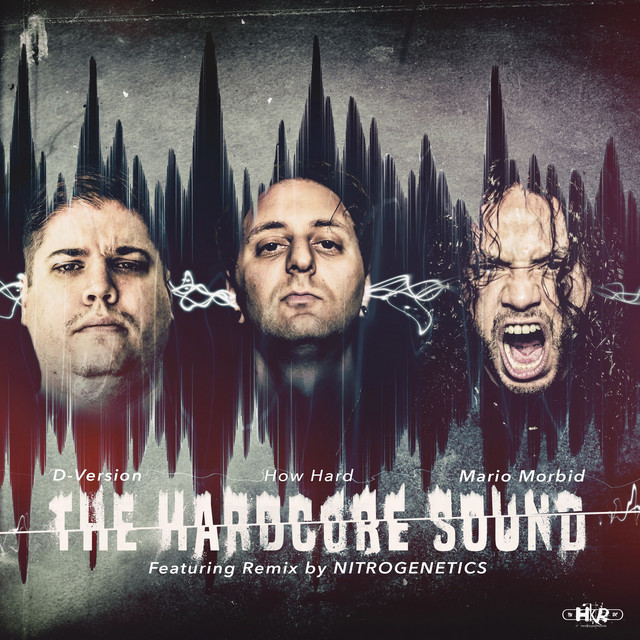 The Hardcore Sound cover