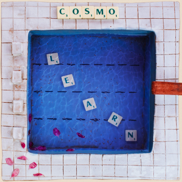 Learn cover art