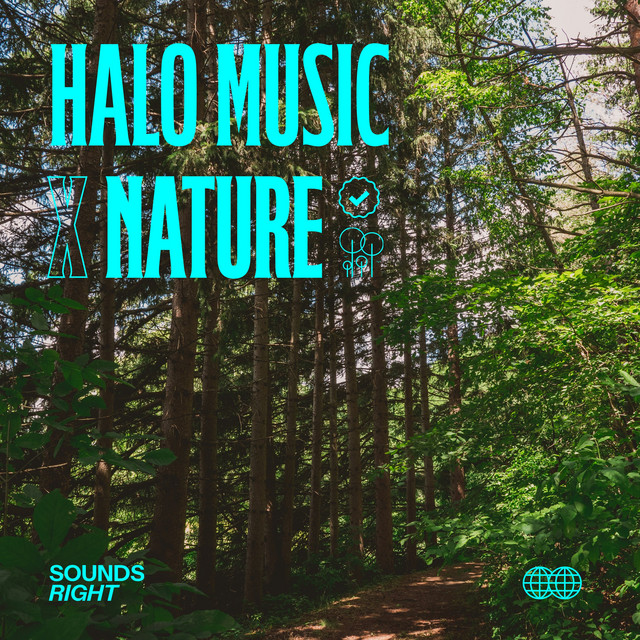 A Deeper Resonance album image
