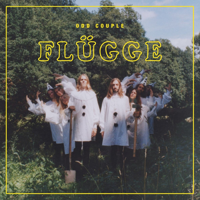 Flügge cover art