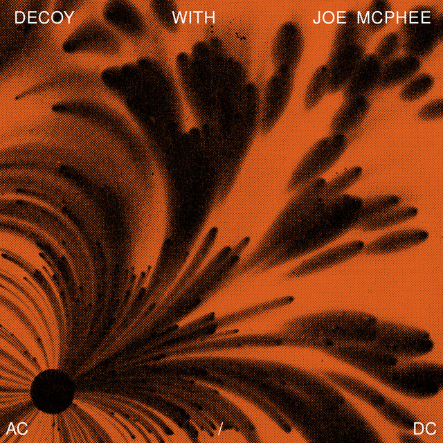 Decoy Image