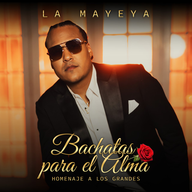 Por Qué Me Haces Llorar cover art