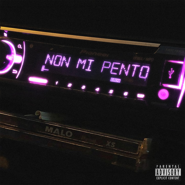 NON MI PENTO