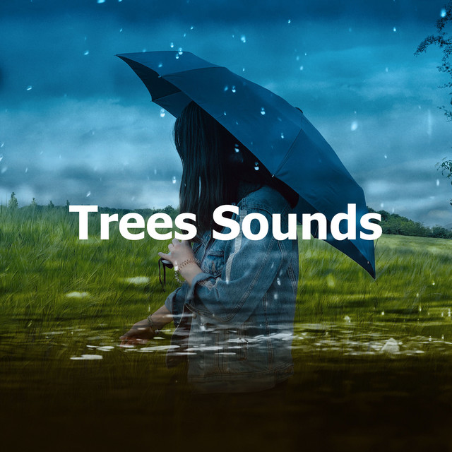 Trees Sounds - Album by Nature Sound Series | Spotify