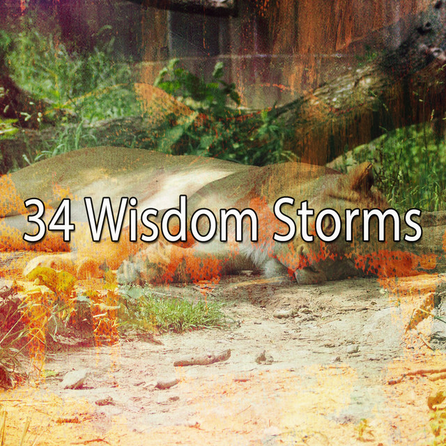 34 Wisdom Storms - Album by Rain Sounds & White Noise | Spotify