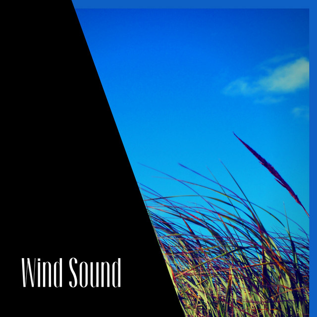 Wind Sound cover art