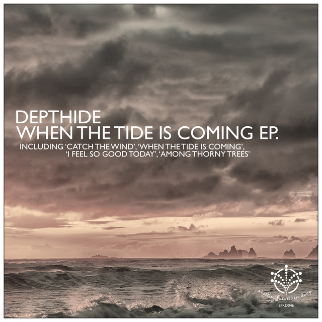 When the Tide Is Coming cover art