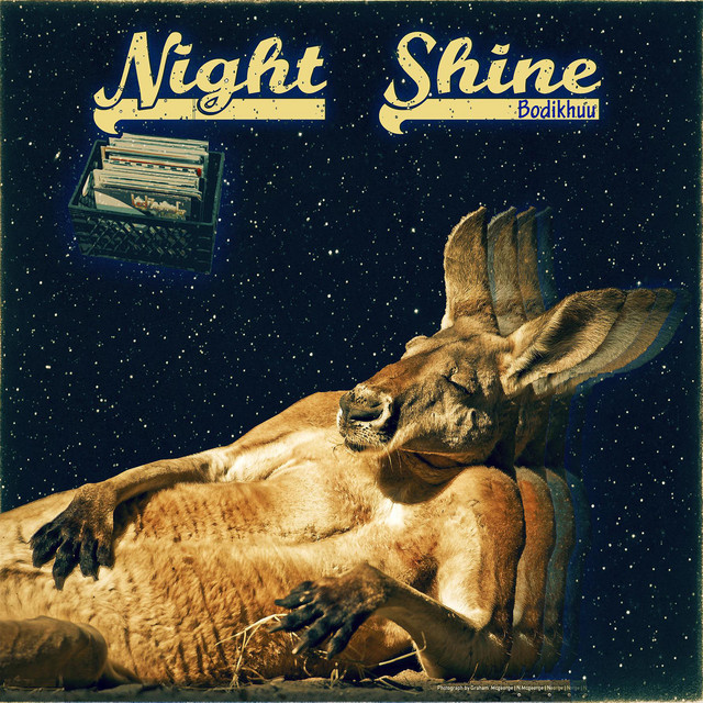 Night Shine cover art