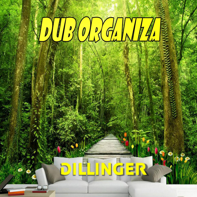 Dub Organiza cover art