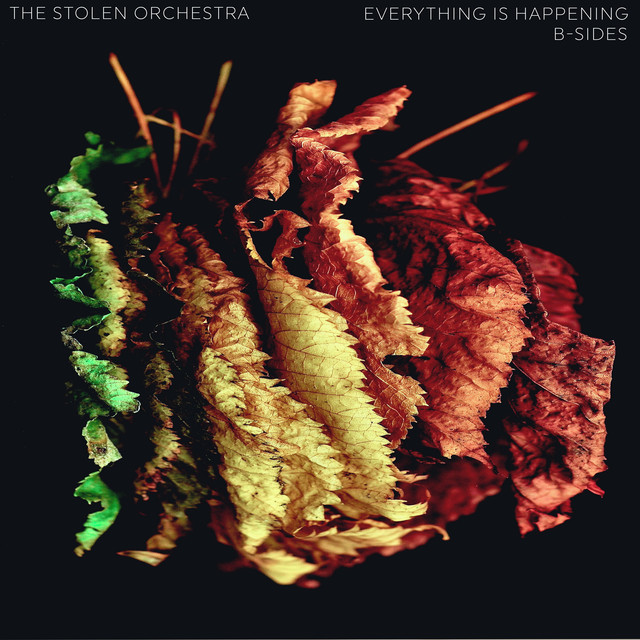 Everything Is Happening B-Sides (single)