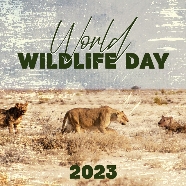 World Wildlife Day 2023 - Born To Be Wild cover art