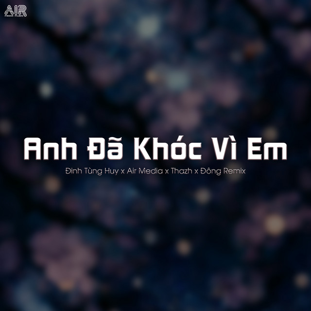 Anh Đã Khóc Vì Em - Thazh x Đông Remix