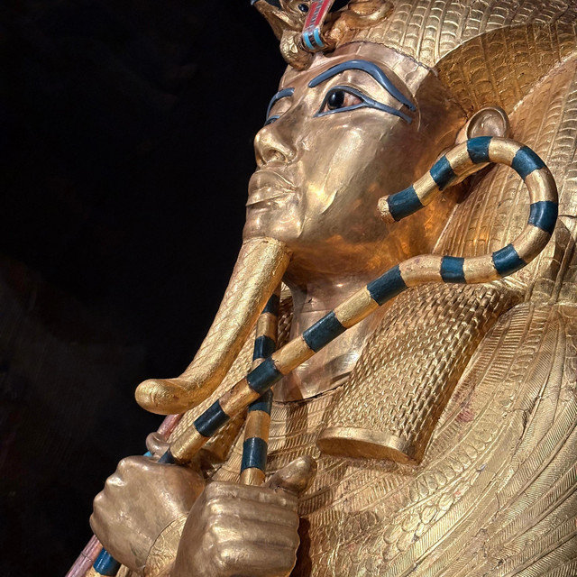 هايدا cover art