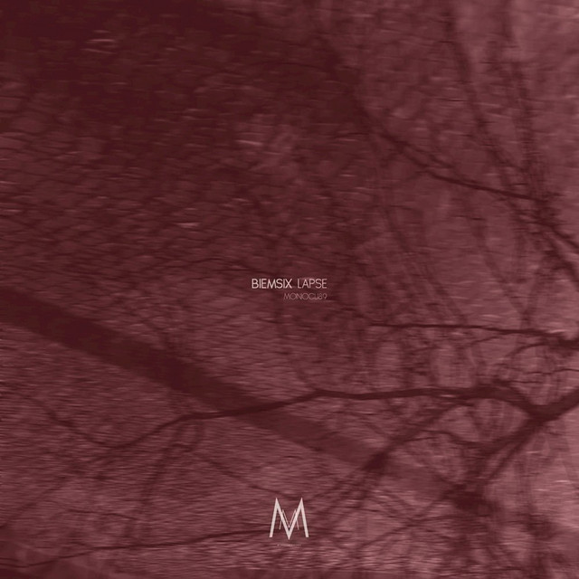 Lapse cover art