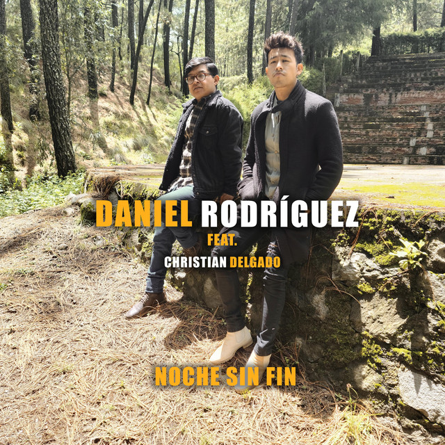 Noche Sin Fin cover