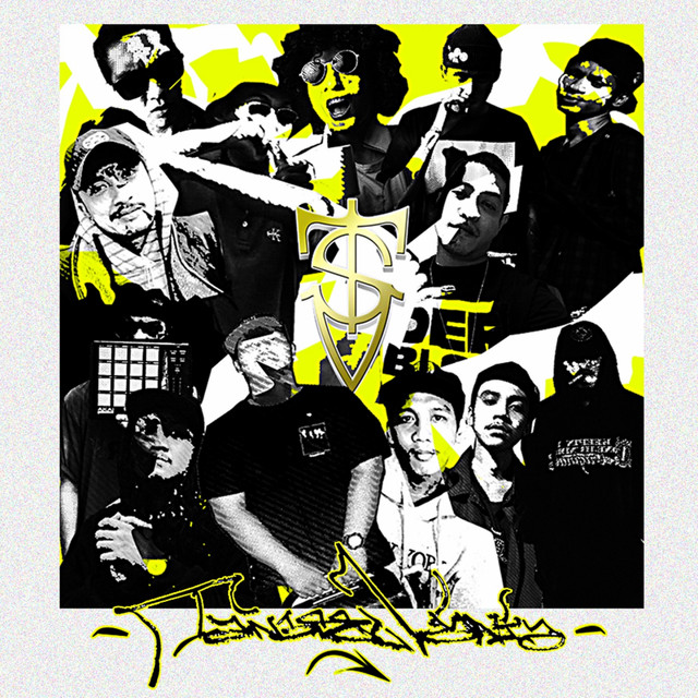 T.S.V cover art