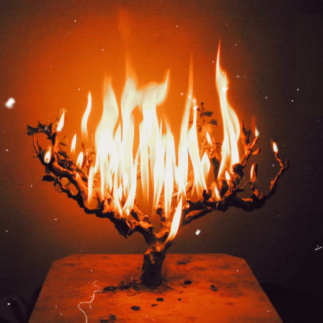 BURNING BUSH cover art