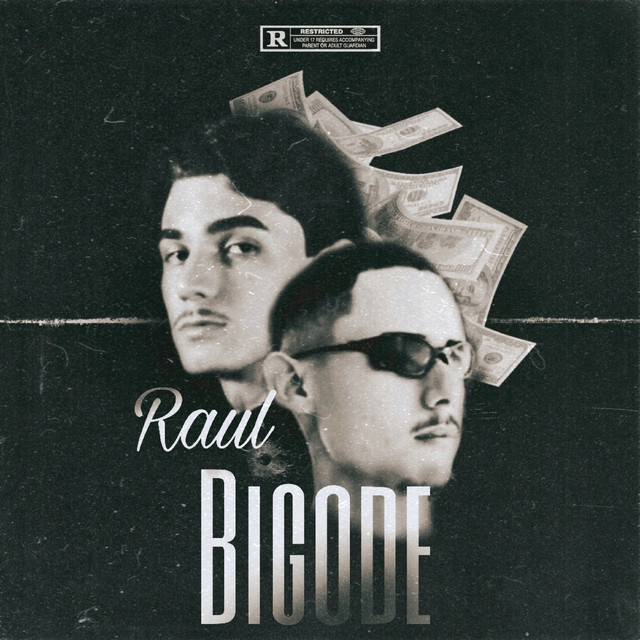 Raul Bigode