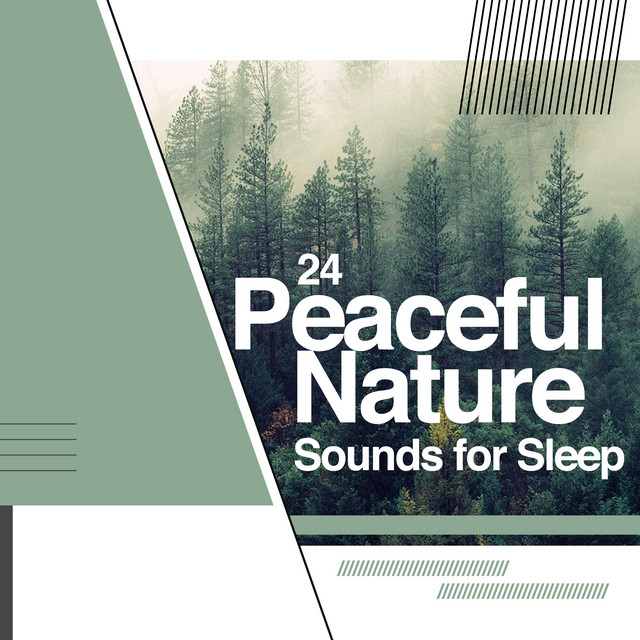 24 Peaceful Nature Sounds for Sleep - Album by Sampling XL | Spotify