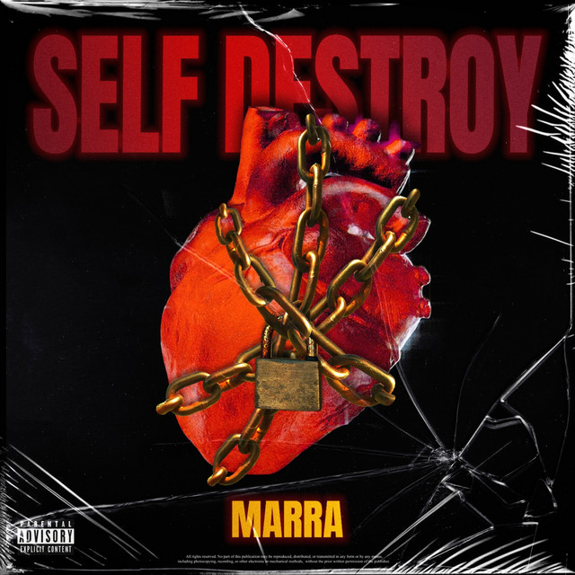 Self Destroy cover art