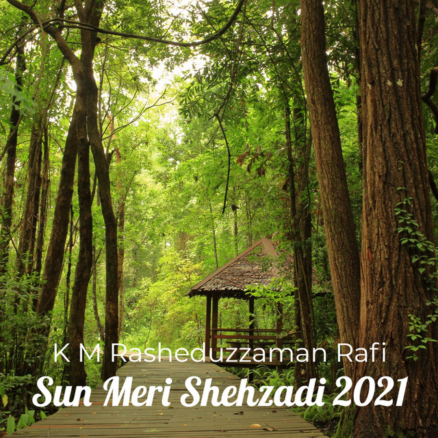 Sun Meri Shehzadi 2021 - Single by K M Rasheduzzaman Rafi | Spotify