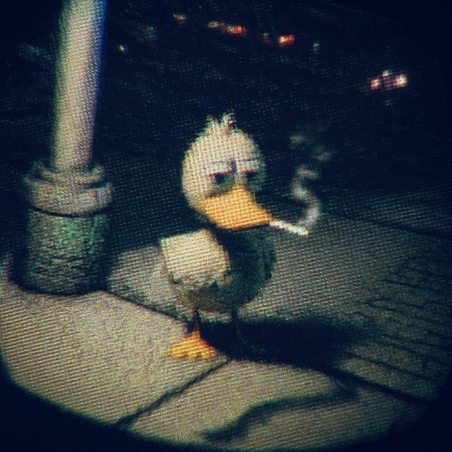 wtf I'm doing? cover art