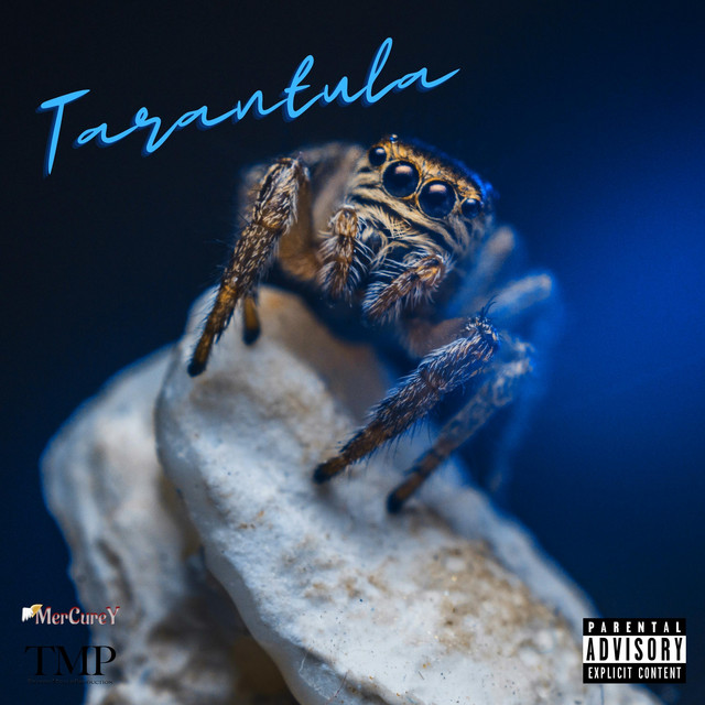 Tarantula cover art