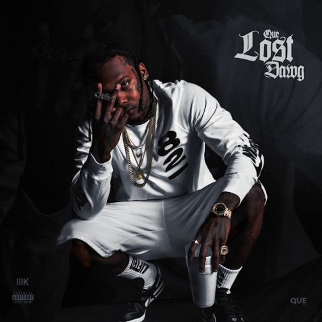 Lost Dawg cover art